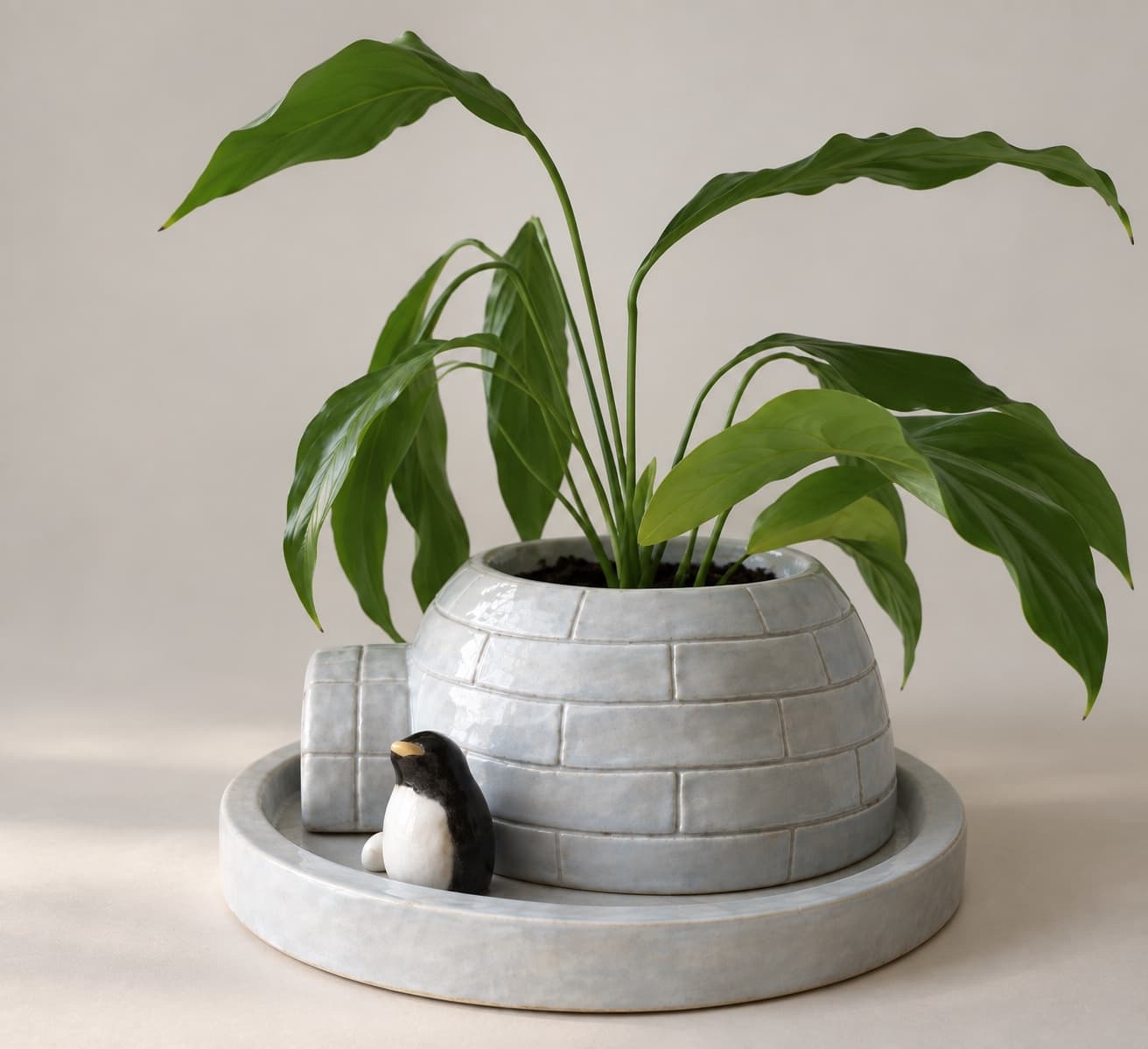 An igloo planter